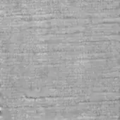 Woven gray fabric texture with horizontal striations, displaying subtle tonal variations and integrated text “swan > fabric (elite) > elite 291 31”.